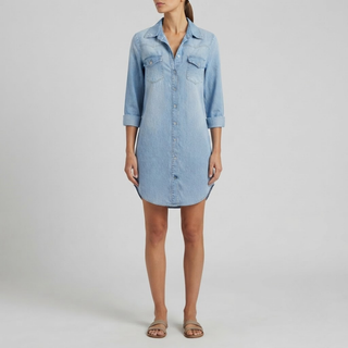Ariah Casual Elegant Denim Shirt Dress