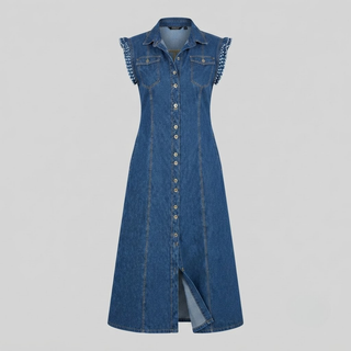 Ellis Plus Size Denim Dress