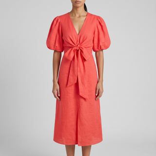Siena V-Neck Sleeve Dress
