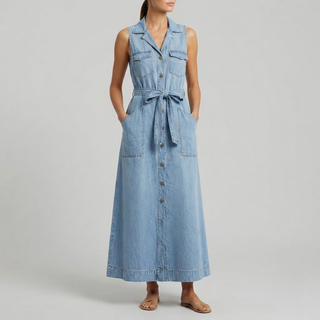 Shelby Denim Dress