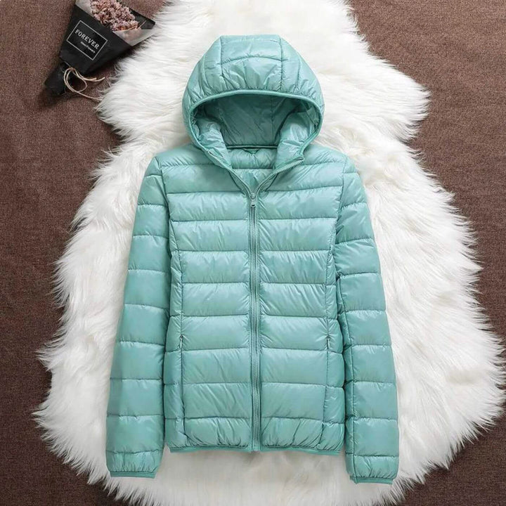 Aurora Windproof Jacket