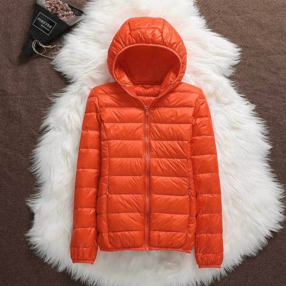 Aurora Windproof Jacket